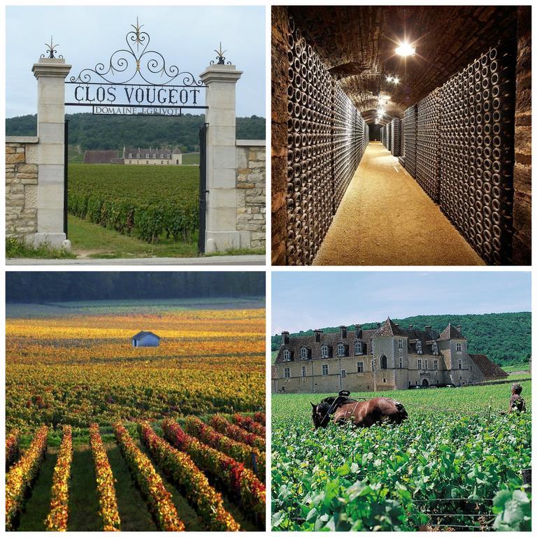 Datcha Bourguignonne Beaune Бон Екстериор снимка